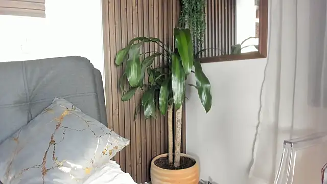 Jeremy_wallker webcam