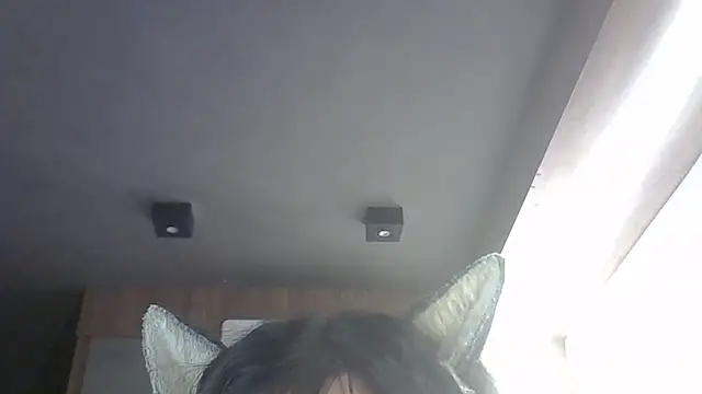 SkinnyKitten webcam
