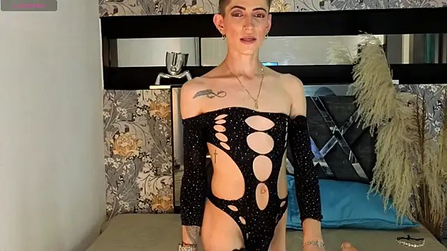 dominic_thailor webcam