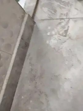 ShivamFactor3 webcam