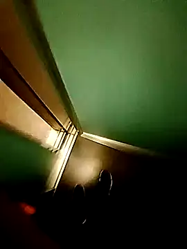 Porcopalestratocazzone21 webcam