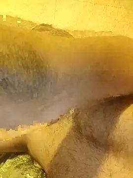 hardnhornybull webcam