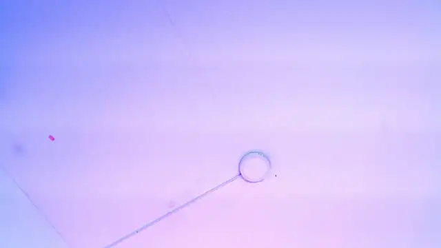 camilarose_cs webcam