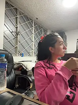 SALOME_KORLAND webcam