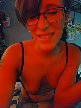 nephilaaranea webcam