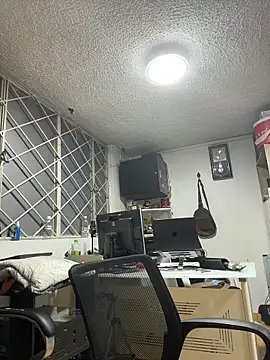 SALOME_KORLAND webcam