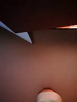 carlecatcharest webcam