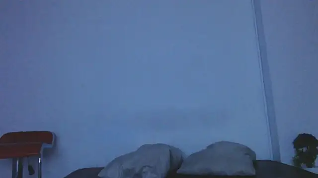 onixandghosty1 webcam