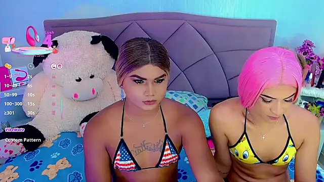 party_duo_trans webcam