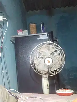 deepa_Sharmaa webcam