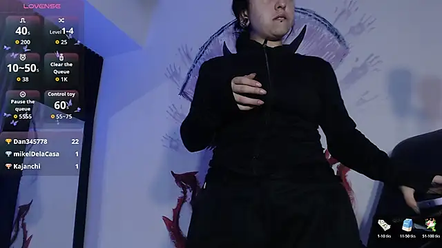 kittyhouse_hs webcam