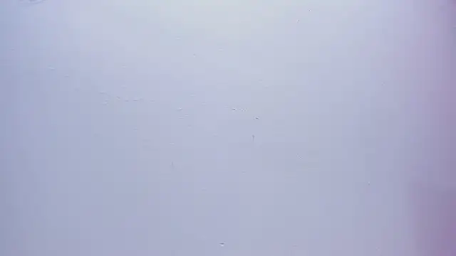 Sara_connor01 webcam