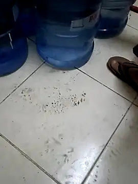 ConvoyedSubgroup webcam