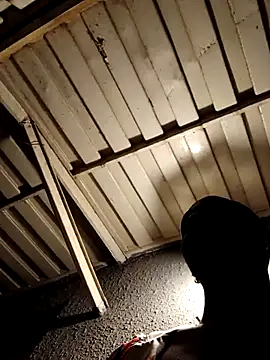 Dandelion_enigman webcam