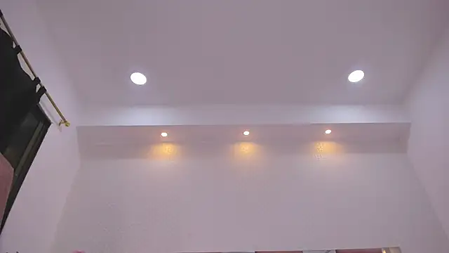 _sussan_miller webcam