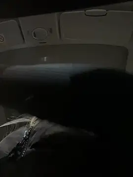 SelinaGalinsky6 Live Webcam on Stripchat