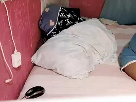 FlorMoreno_Palangga webcam