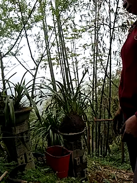 miomio-12 - Miomio-12's free webcam - UK Sex Cams