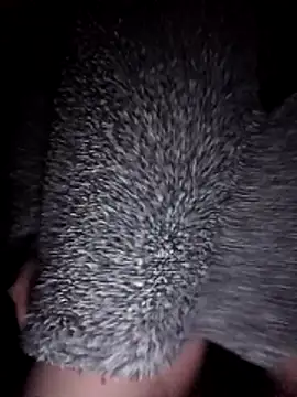 Webcam Model (Hottiesophie)  is live.Free join now!