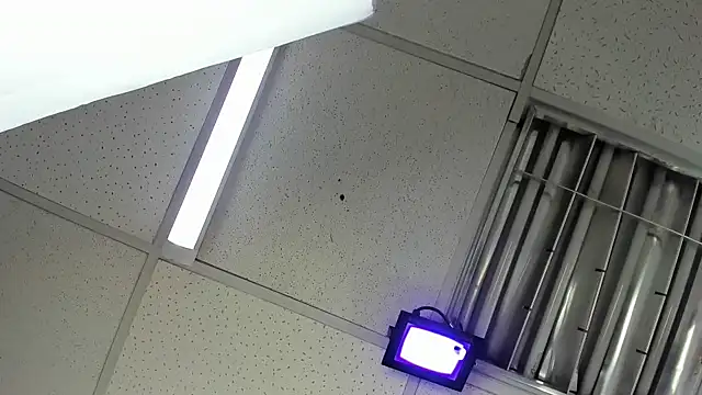 Aisha_hotts777 webcam