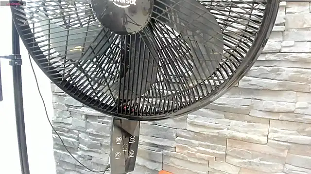 Doble_fantasia webcam