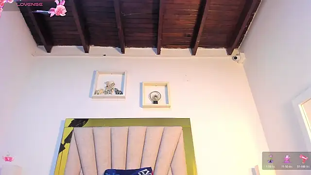 vahiolet_fuentes webcam