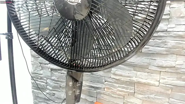 Doble_fantasia webcam