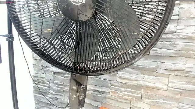 Doble_fantasia webcam