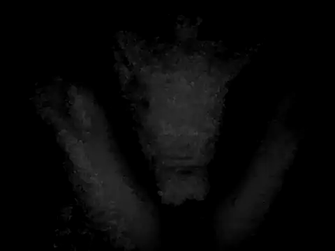 picante_pijon7 webcam