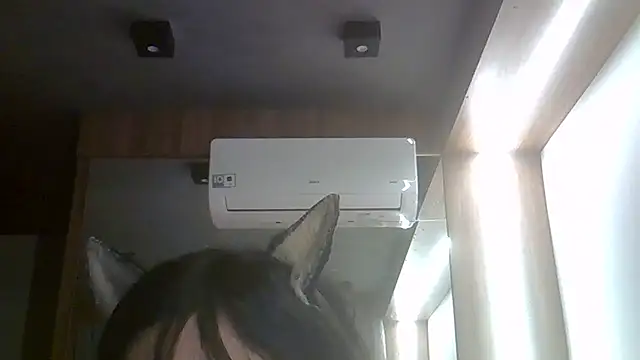SkinnyKitten webcam