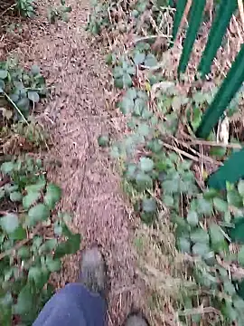 FreezingTie850 webcam