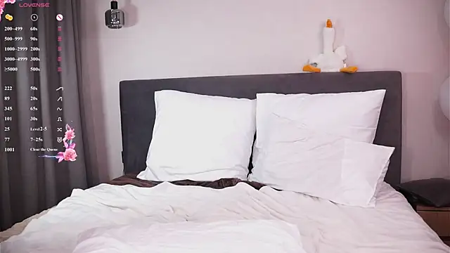 HollisBeckett webcam