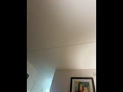 trickydickydaddy webcam