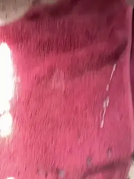 ndlwabeyepipielikhulu webcam