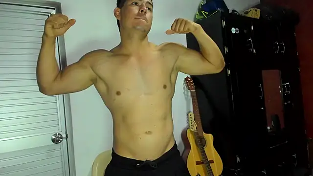 VincentSavage webcam