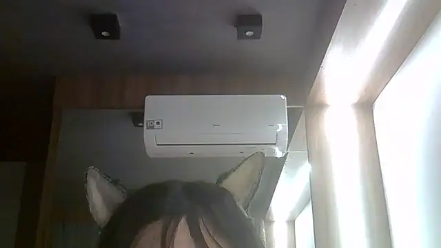 SkinnyKitten webcam