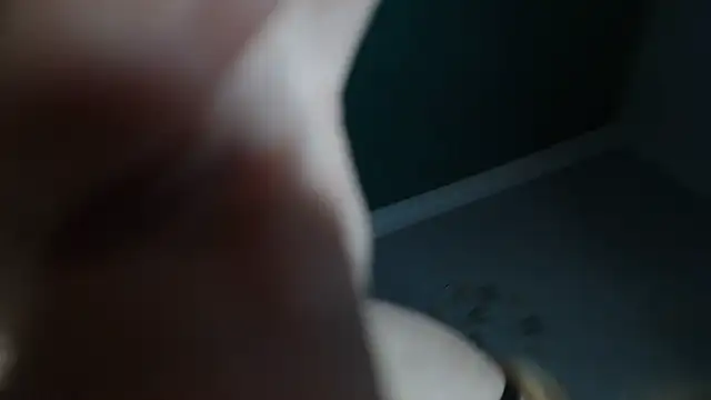 Blasflittchen webcam