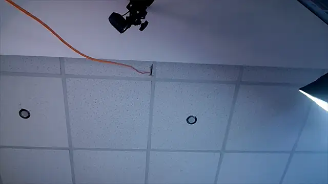 CarolinaPetra webcam