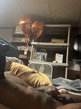 ProveYourLoyalty2 webcam