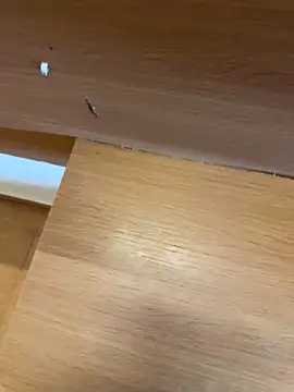 Santoshsk-123 webcam