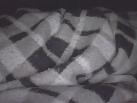 Silviaalvesdos webcam