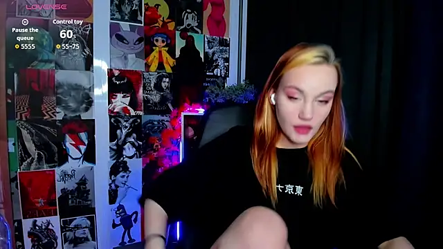 Ida_FaneStain webcam