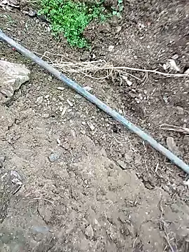 Sikici0734's live cam