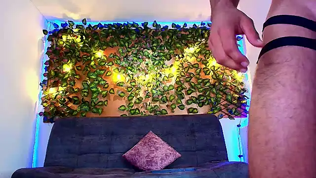 alexander_collin02 webcam