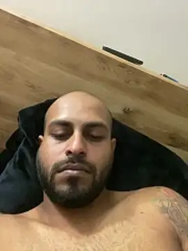 islandvybee55 webcam