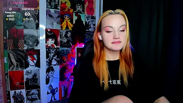 Ida_FaneStain webcam