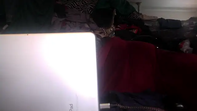 Phelyxx_elgato webcam