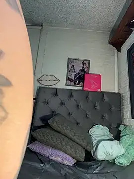 SALOME_KORLAND webcam