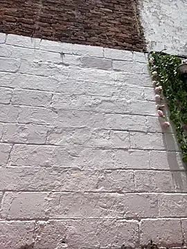 cloe_pink1 - Cloe_pink1's free webcam - UK Sex Cams