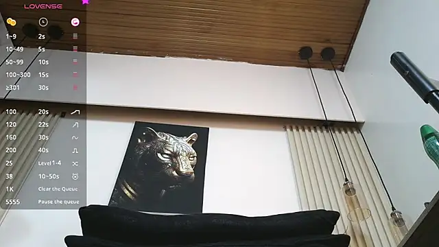 virtual_charm webcam